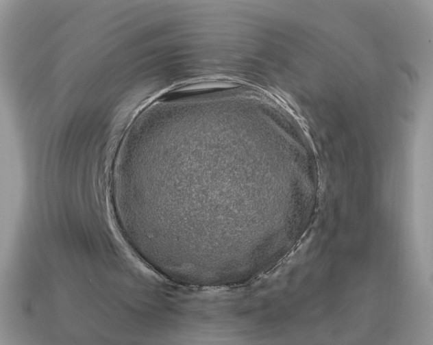 X0000115040097200911091413