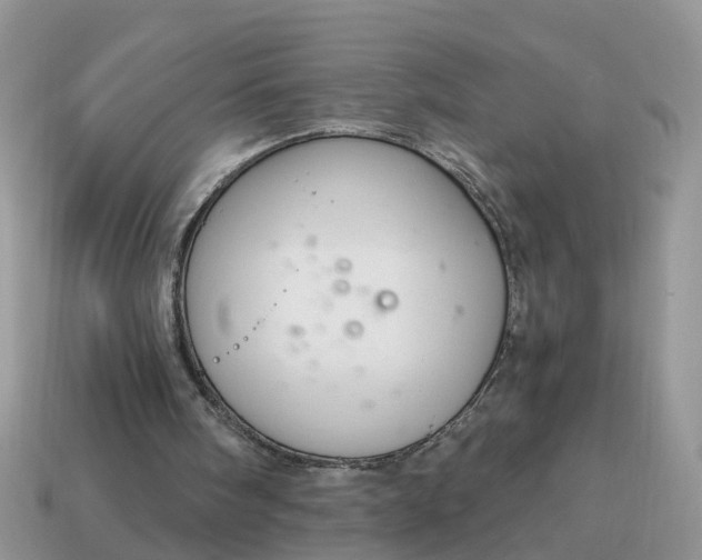X0000115040098200911091413