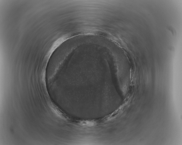 X0000115040099200911091413