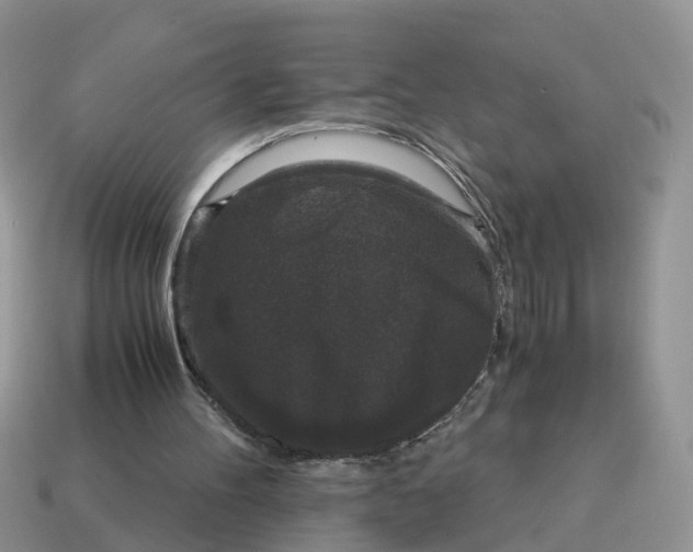 X0000115040100200911091413
