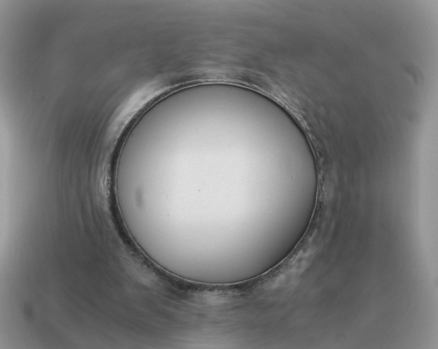 X0000115040103200911091413
