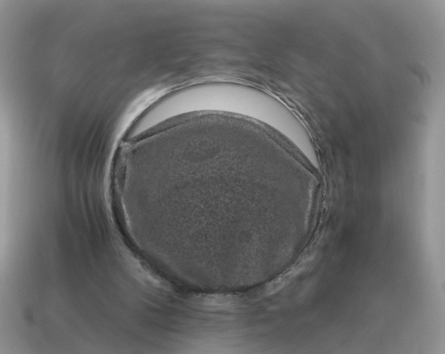 X0000115040104200911091413