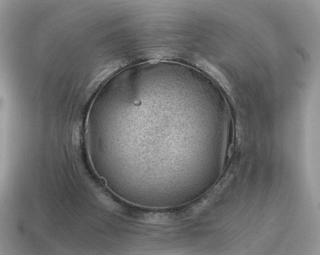 X0000115040105200911091413