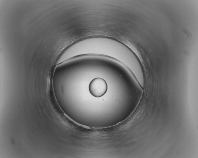 X0000115040109200911091413