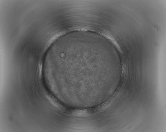 X0000115040110200911091413