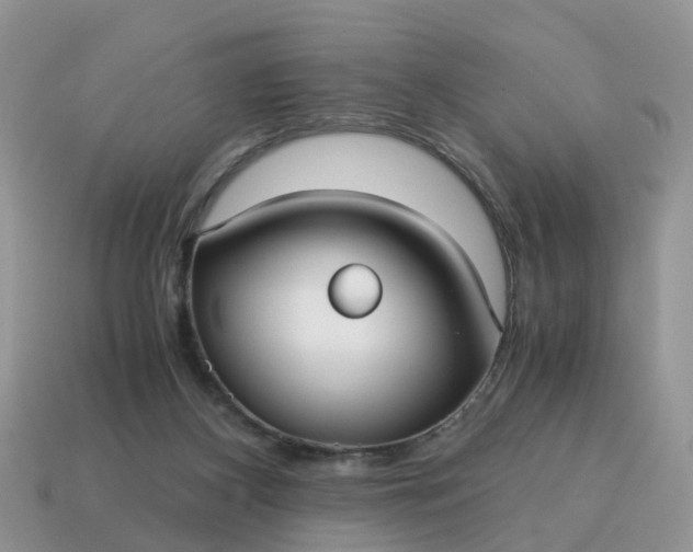 X0000115040116200911091413