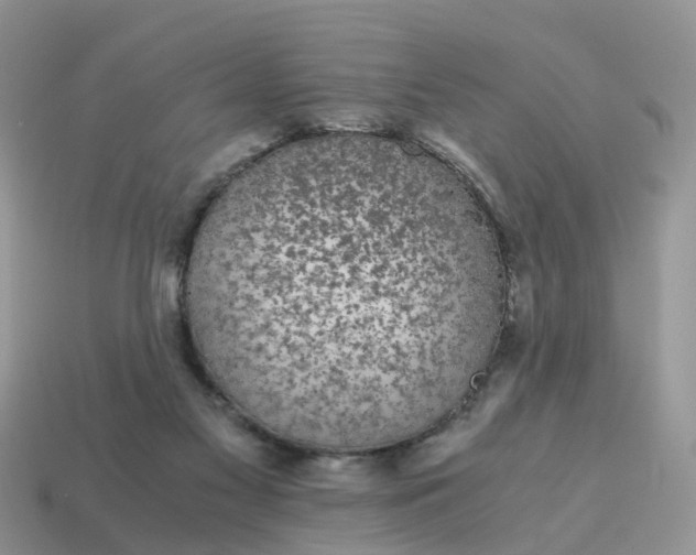 X0000115040117200911091413