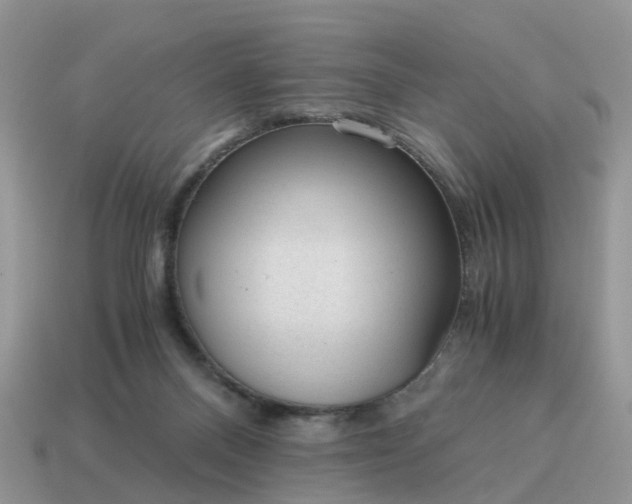 X0000115040120200911091413