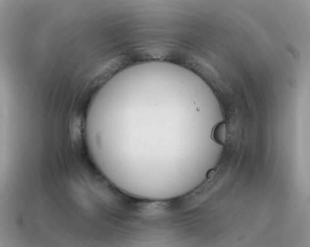X0000115040122200911091413
