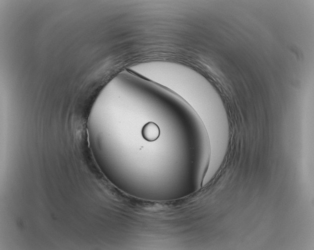 X0000115040125200911091413