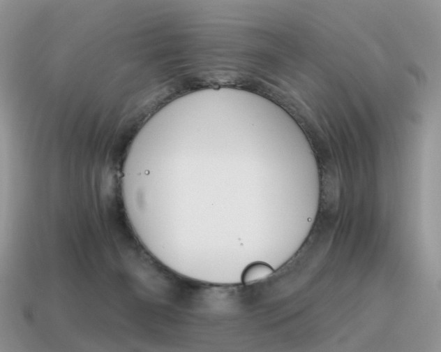 X0000115040126200911091413