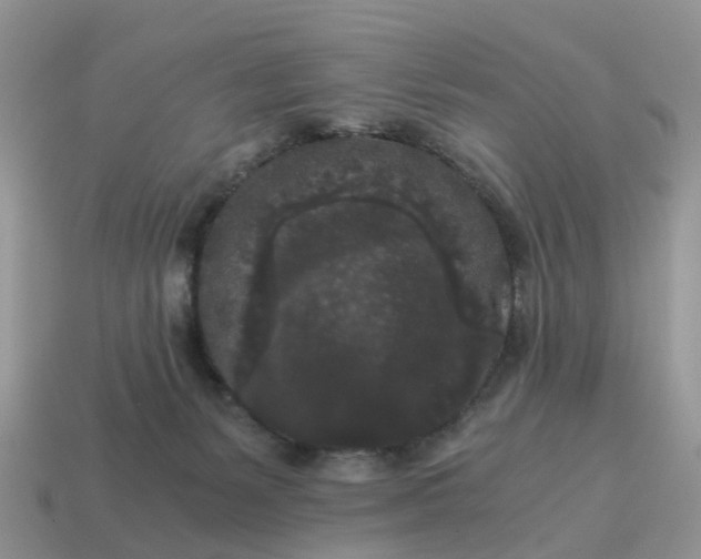 X0000115040127200911091413