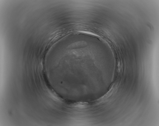 X0000115040128200911091413