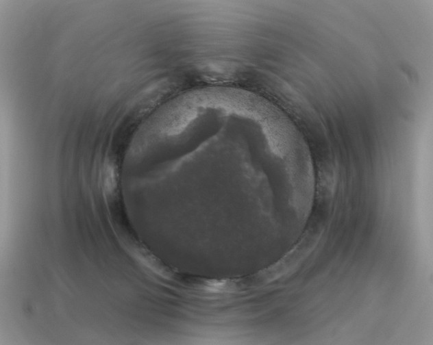 X0000115040130200911091413