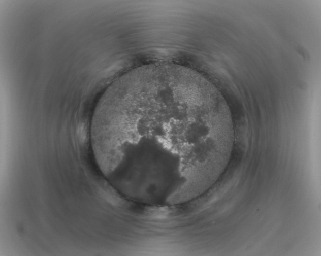 X0000115040131200911091412