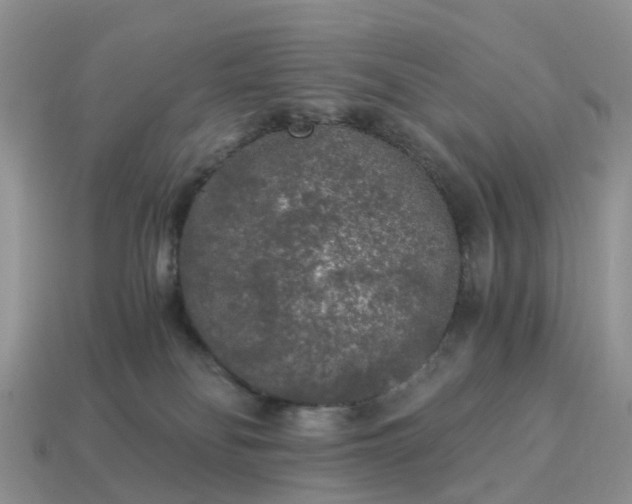 X0000115040134200911091412