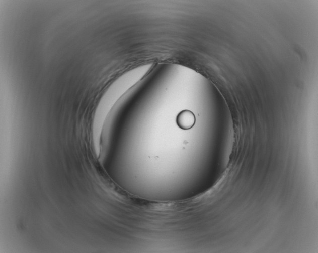X0000115040136200911091412