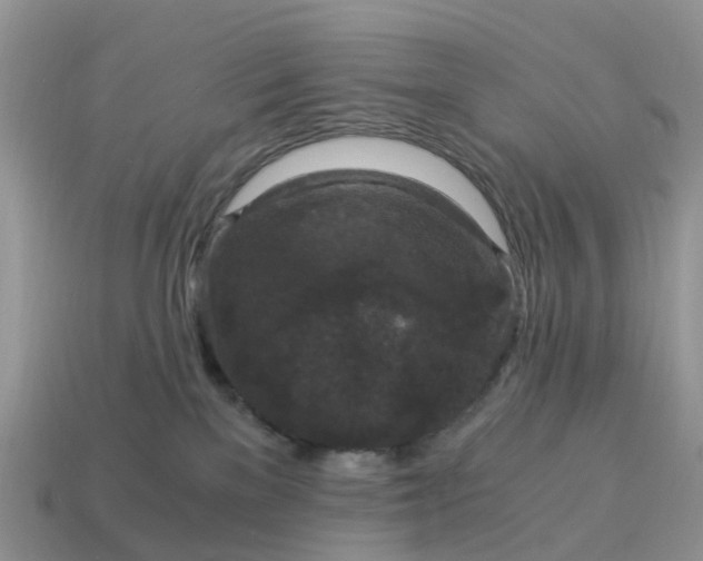 X0000115040137200911091412