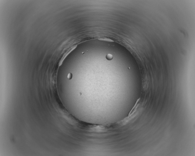 X0000115040140200911091412