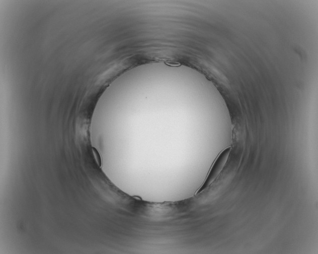 X0000115040141200911091412