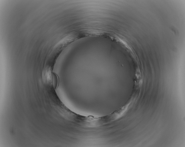 X0000115040143200911091412