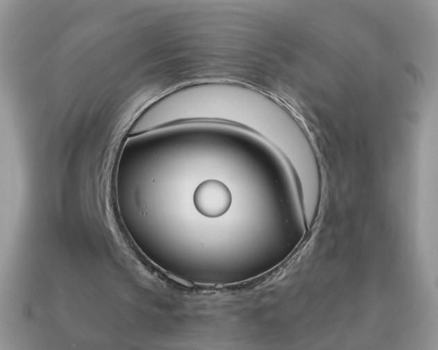 X0000115040145200911091412