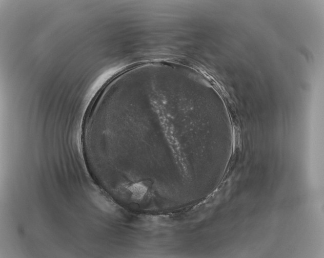 X0000115040147200911091412