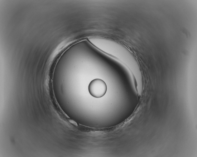 X0000115040150200911091412