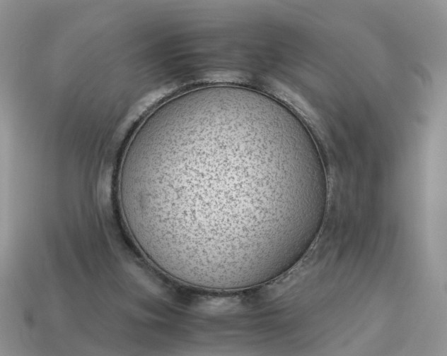 X0000115040155200911091412