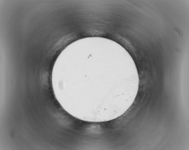 X0000115040162200911091412