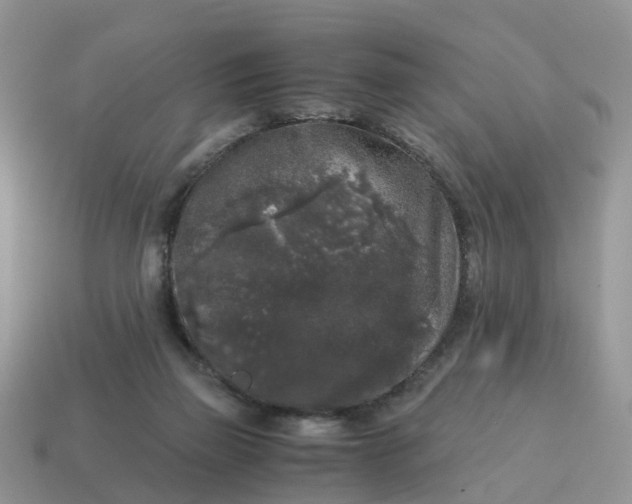 X0000115040165200911091412