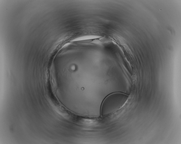 X0000115040167200911091412