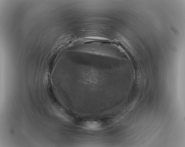 X0000115040169200911091412