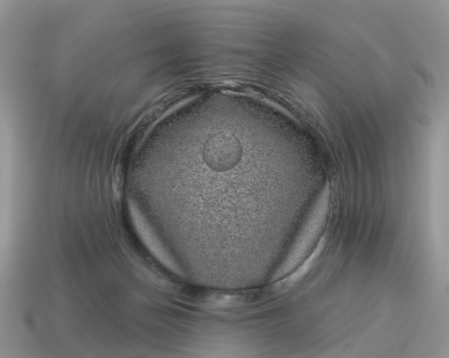 X0000115040174200911091412