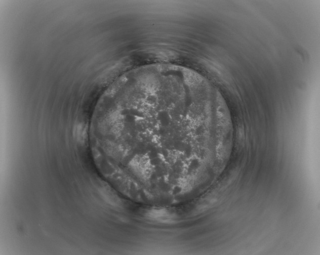 X0000115040177200911091412