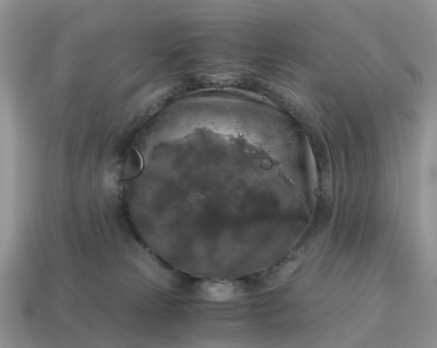 X0000115040181200911091412