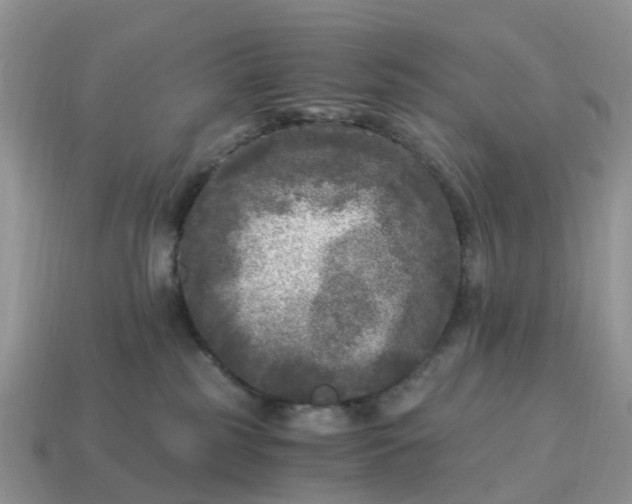 X0000115040185200911091412