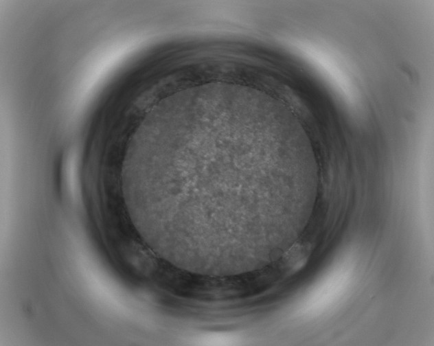 X0000115040189200911091412