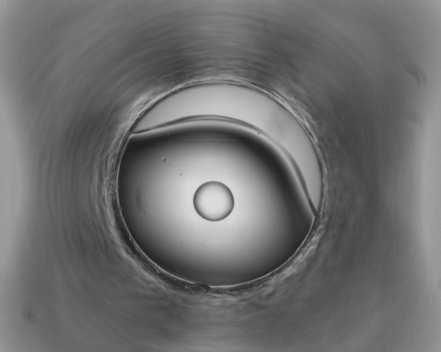 X0000115040193200911091412