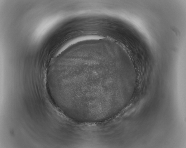 X0000115040194200911091412
