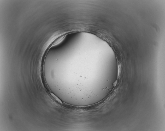 X0000115040195200911091412
