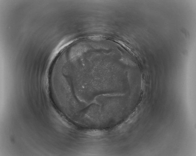 X0000115040198200911091412