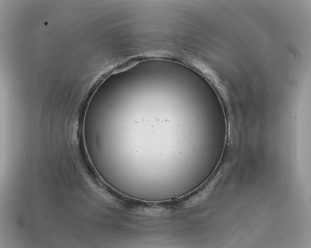 X0000115040201200911091412