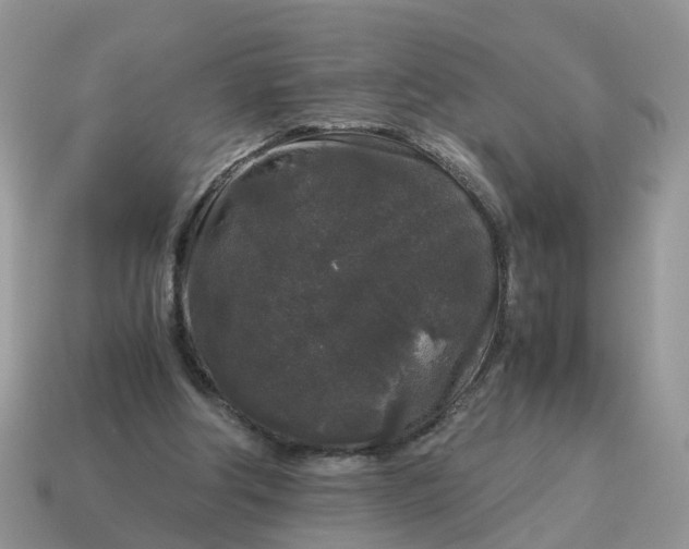 X0000115040202200911091412