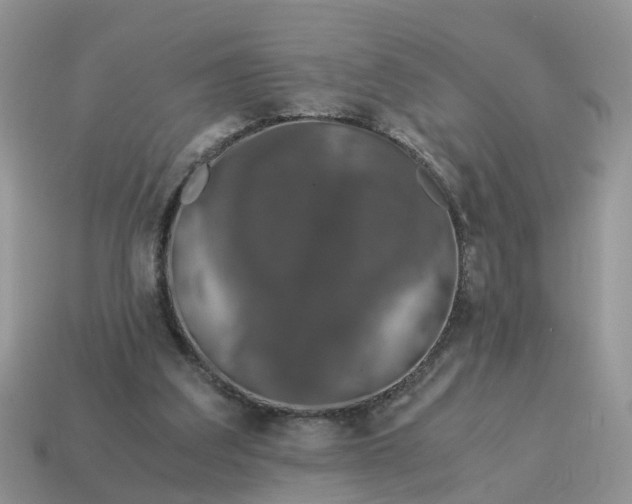 X0000115040203200911091412