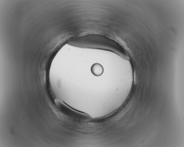 X0000115040205200911091412