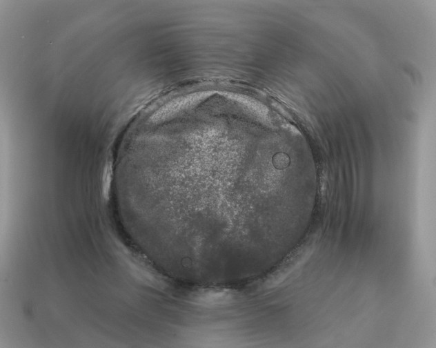X0000115040206200911091412