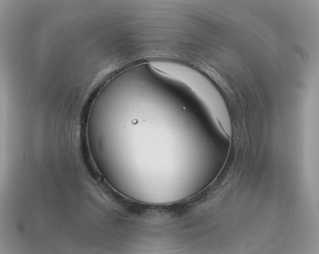 X0000115040207200911091412