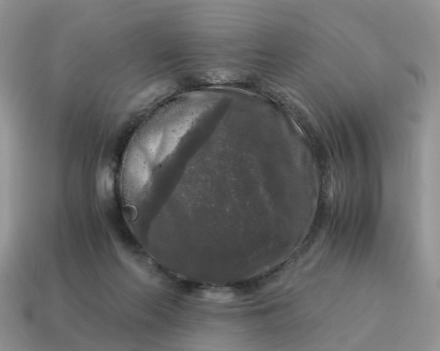 X0000115040214200911091411
