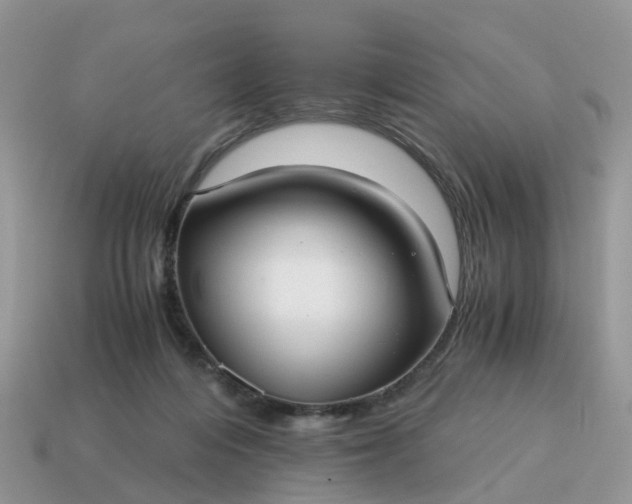 X0000115040216200911091411